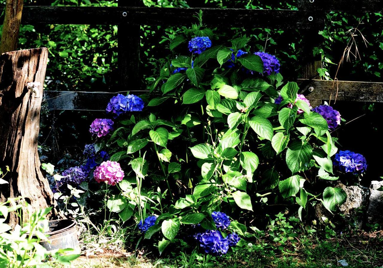 Country House Sezze 外观 照片